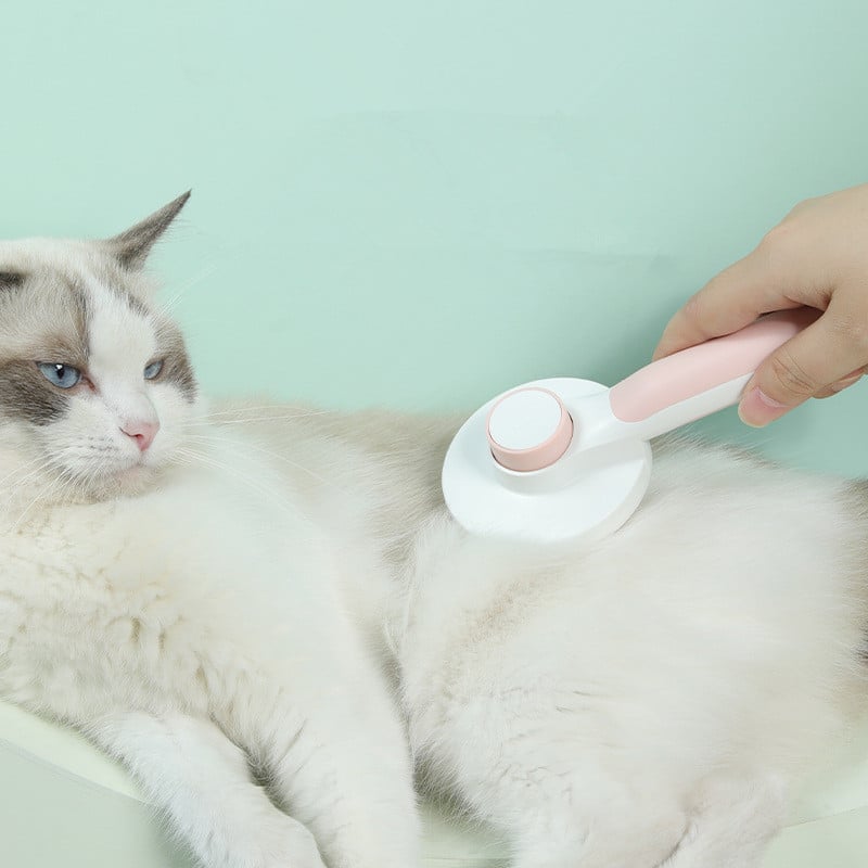Round Handle Pet Grooming Comb Paw Pop Store