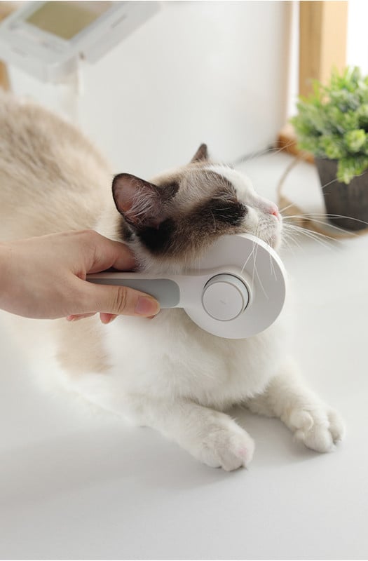 Round Handle Pet Grooming Comb Paw Pop Store