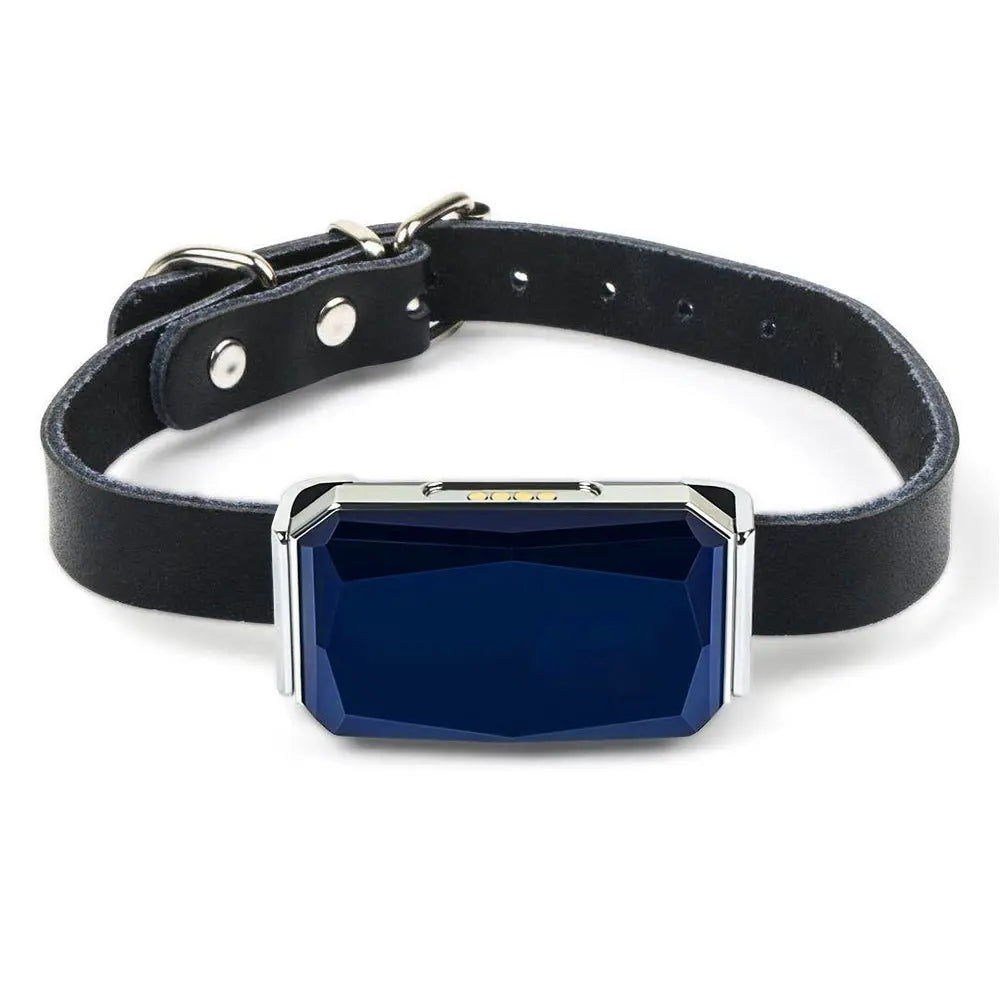 GPS Pet Tracker Collar for Lost Pet Location Tracking Paw Pop Store