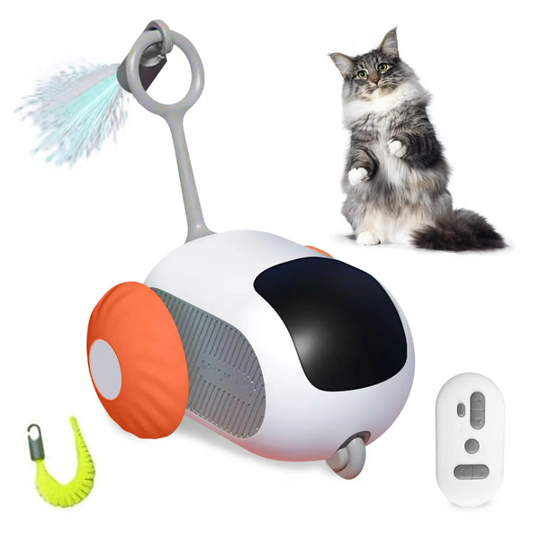 Smart Interactive Cat-Dog Toy Car Paw Pop Store